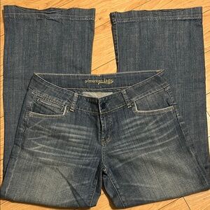 American Eagle Outfitters Blue Flare Wide Leg Jeans